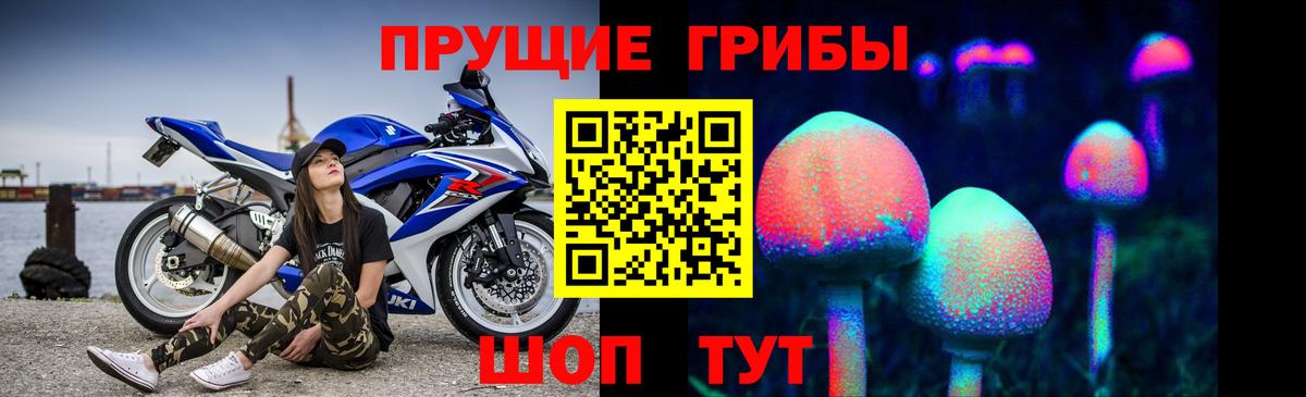 Галлюциногенные грибы Cubensis Кувандык