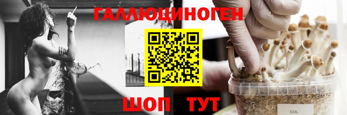 Галлюциногенные грибы ЛСД  продажа наркотиков  Вход с VPN  Кувандык  Псилоцибиновые грибы MAGIC MUSHROOMS 
